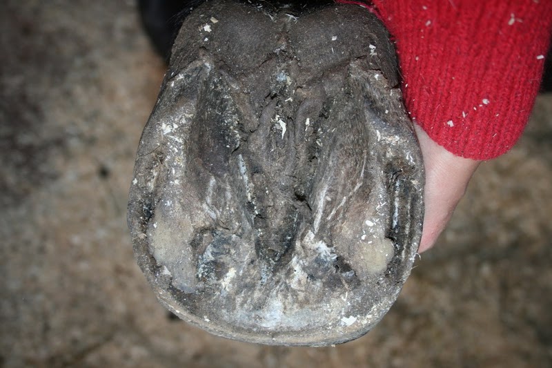 IMG_0126.jpg1.jpg"%20height="533"%20width="800